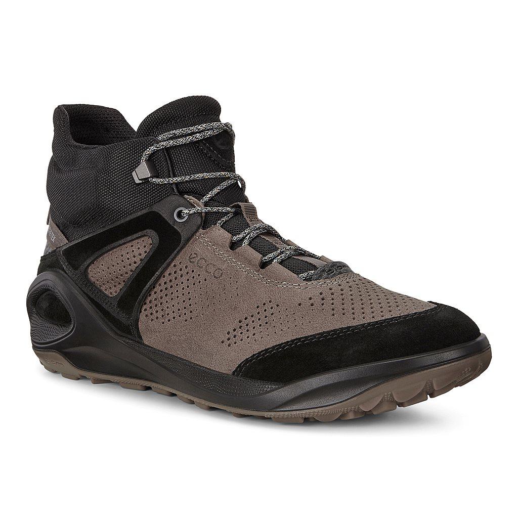 Gore-Tex Ecco Biom 2Go Homme Marron 8156-QKBNH